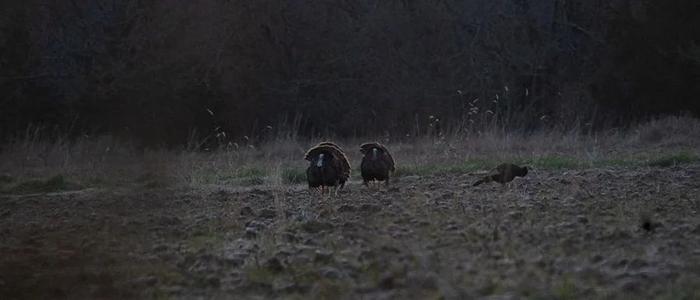Hunt moment 12